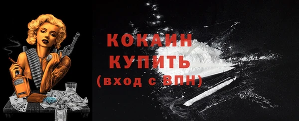 гашик Дубовка
