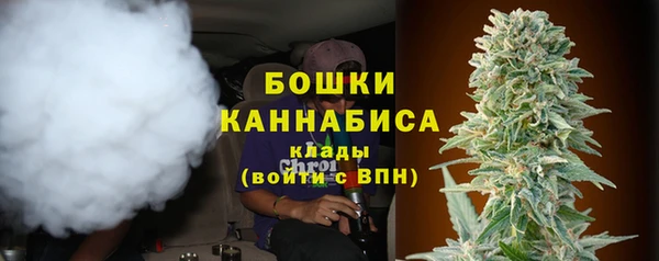 индика Горнозаводск