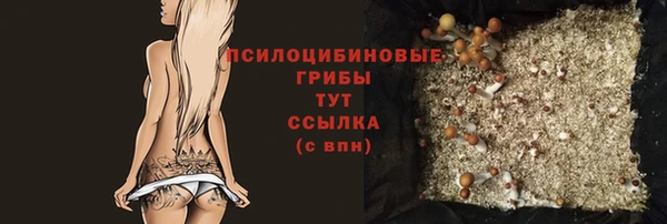 индика Горнозаводск