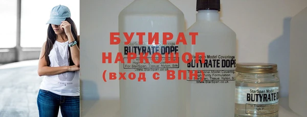 индика Горнозаводск