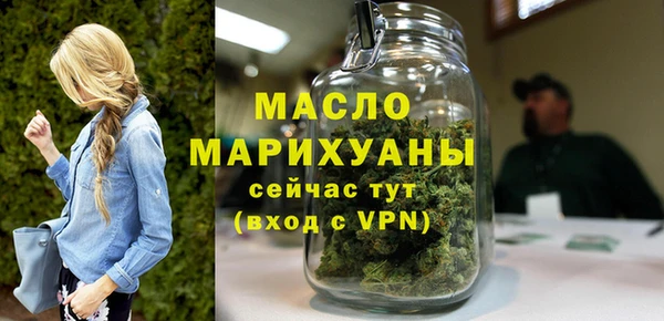 индика Горнозаводск
