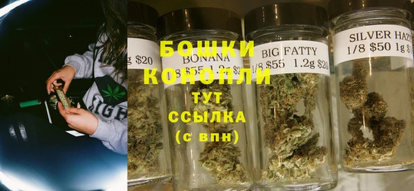 индика Горнозаводск