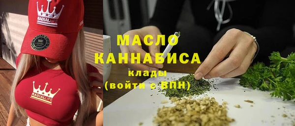 индика Горнозаводск