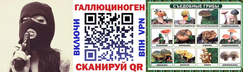 продажа наркотиков  Красный Сулин  Галлюциногенные грибы Magic Shrooms 